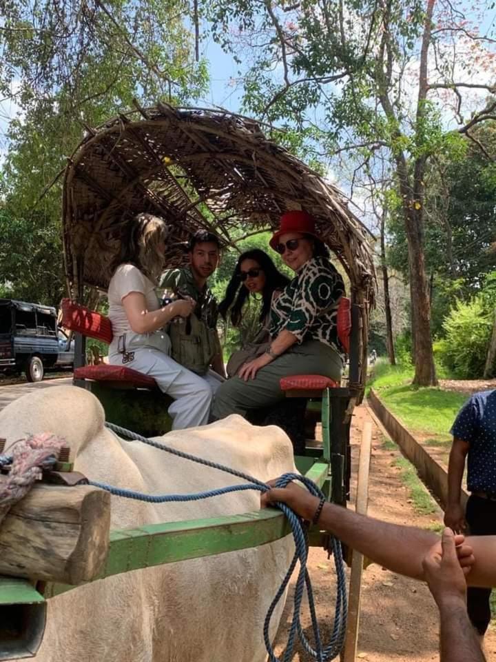 Elephant Safari Lodge Sigiriya Junction Habarana Bagian luar foto