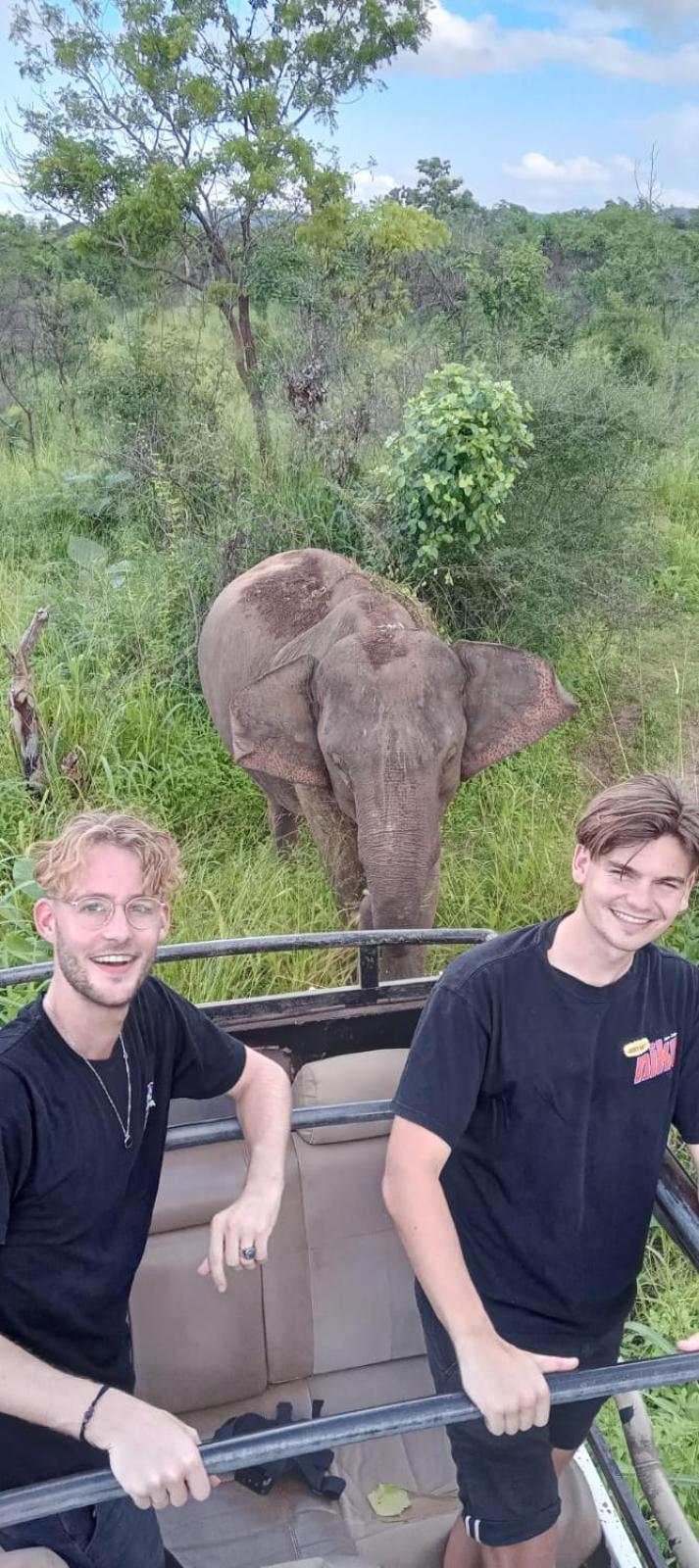 Elephant Safari Lodge Sigiriya Junction Habarana Bagian luar foto