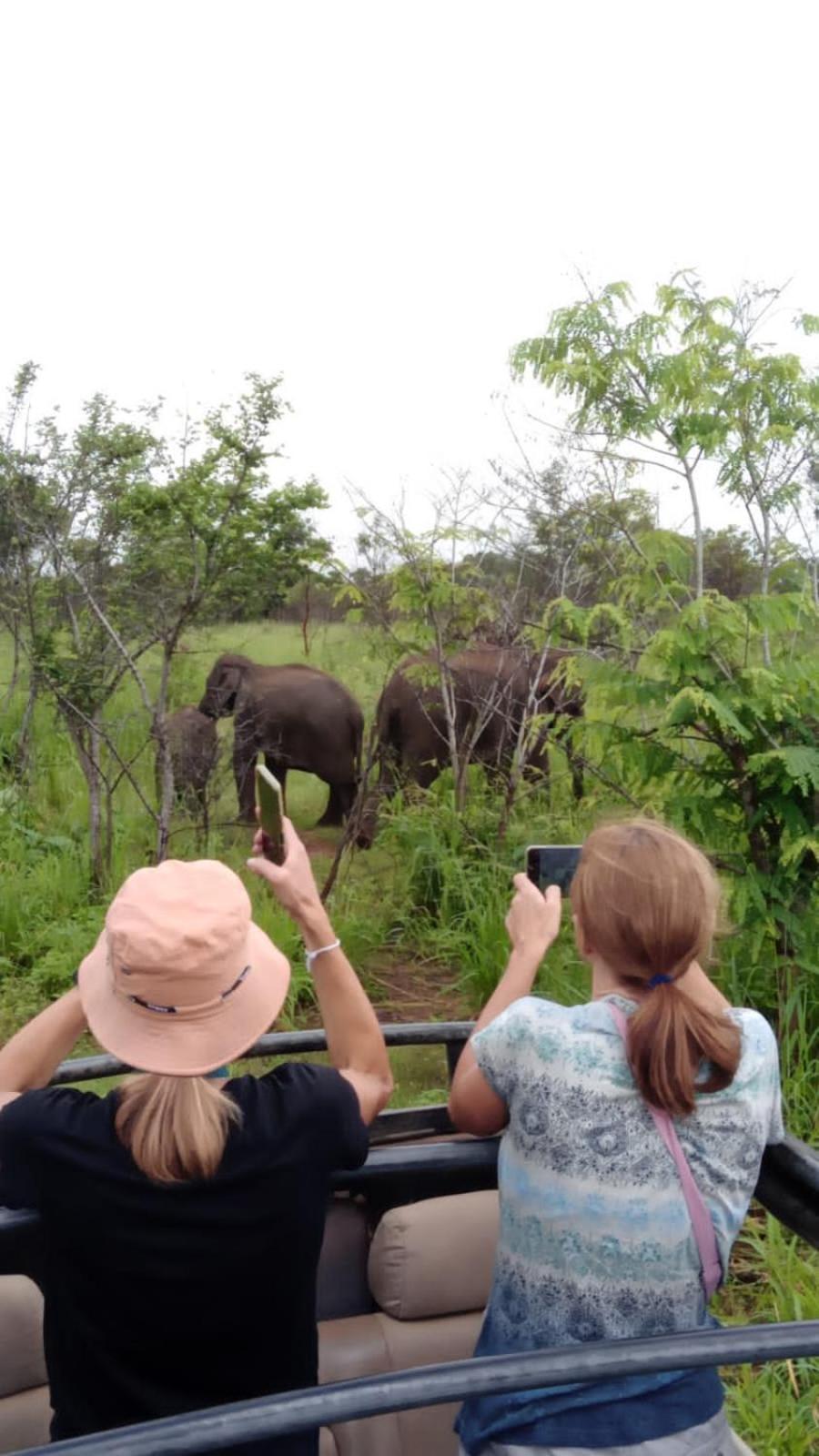 Elephant Safari Lodge Sigiriya Junction Habarana Bagian luar foto