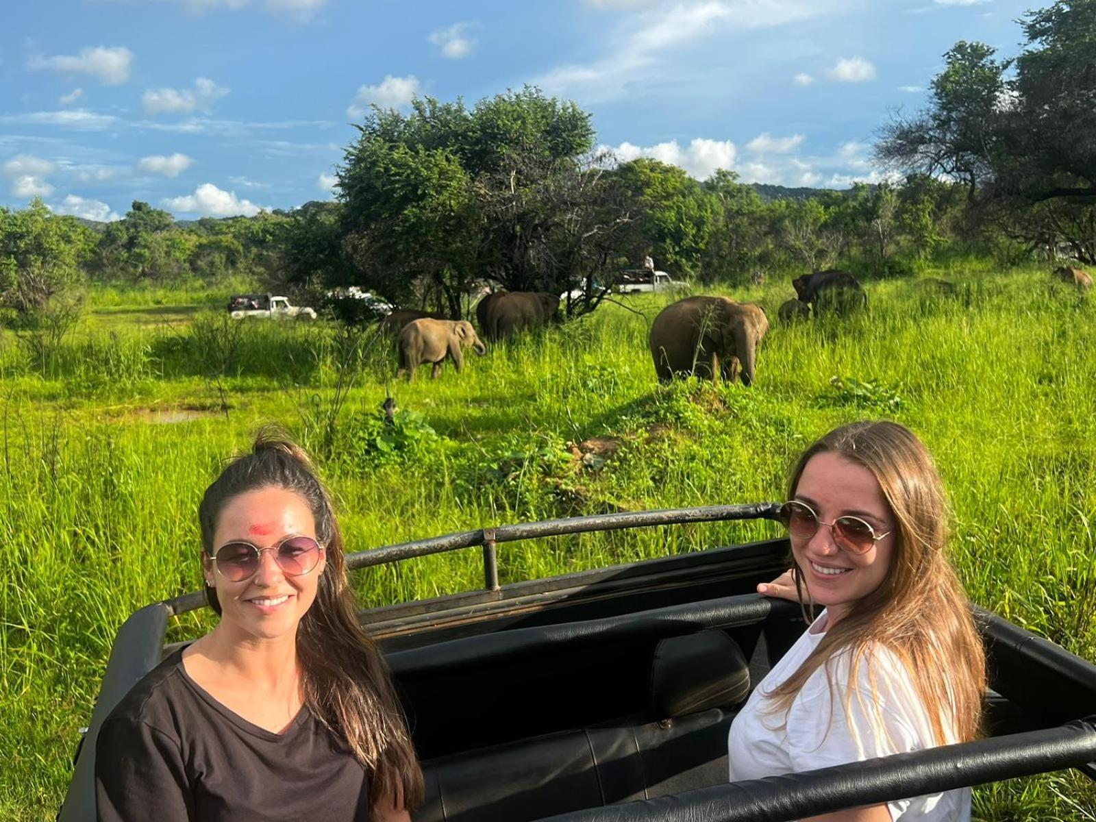 Elephant Safari Lodge Sigiriya Junction Habarana Bagian luar foto