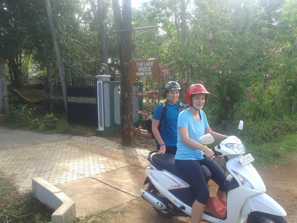 Elephant Safari Lodge Sigiriya Junction Habarana Bagian luar foto