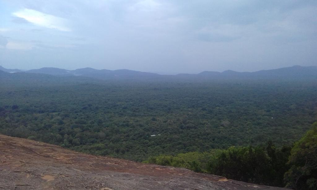 Elephant Safari Lodge Sigiriya Junction Habarana Bagian luar foto