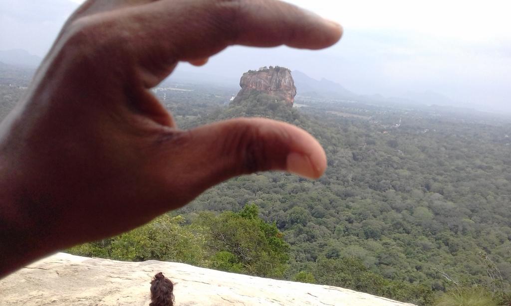 Elephant Safari Lodge Sigiriya Junction Habarana Bagian luar foto