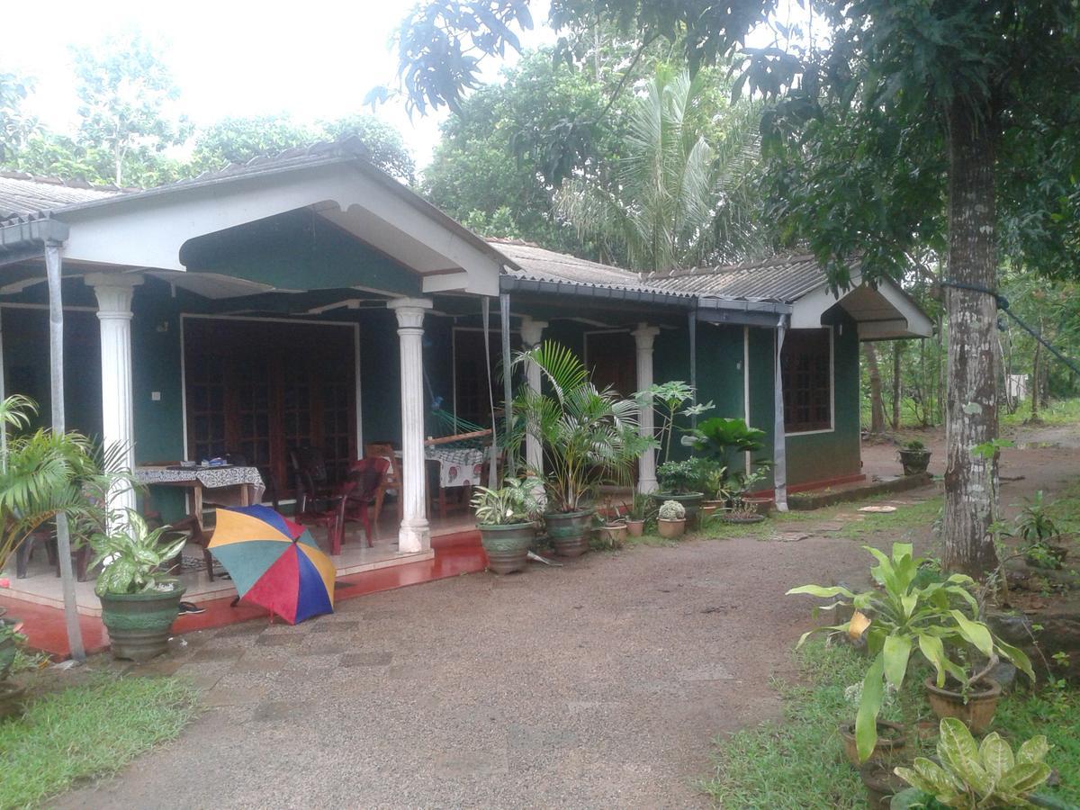 Elephant Safari Lodge Sigiriya Junction Habarana Bagian luar foto