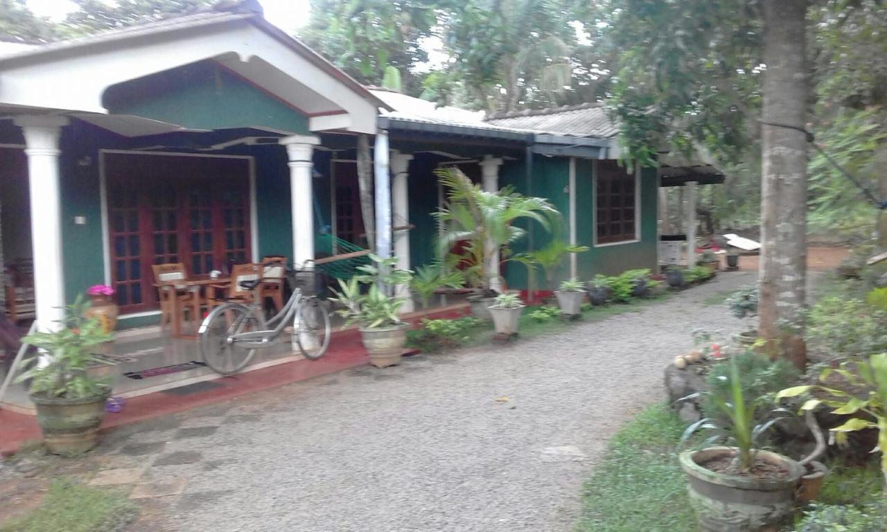 Elephant Safari Lodge Sigiriya Junction Habarana Bagian luar foto